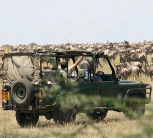Masai mara
